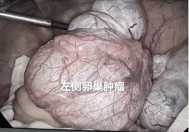 微信圖片_20250418085232.jpg