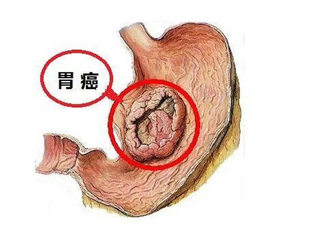 微信圖片_20250422151933.jpg
